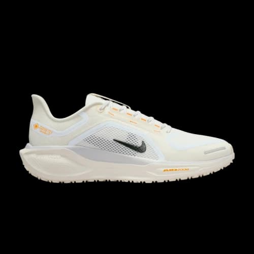 Nike Air Zoom Pegasus 41 GTX 'Beige' (Women's)