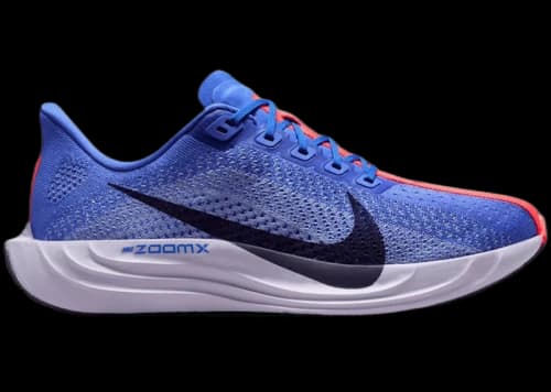 Nike Pegasus Plus Sapphire Light Thistle