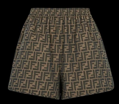 Fendi Canvas Shorts Brown