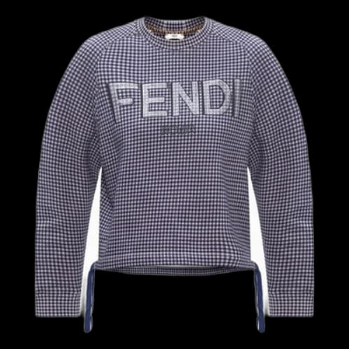 FENDI Logo Printing hooded Long Sleeves Hoodie Gray (Women's)