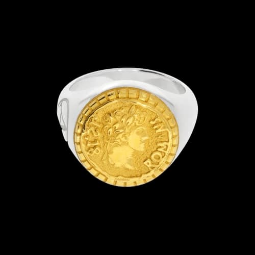 Aries Signet Ring 'Silver/Gold'