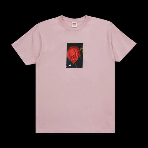 Supreme Araki Rose Tee 'Dusty Pink'