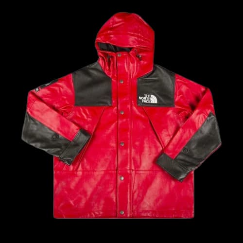 Supreme x The North Face Leather Mountain Parka 'Red'