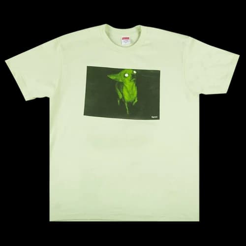 Supreme Chris Cunningham Chihuahua Tee 'Pale Mint'