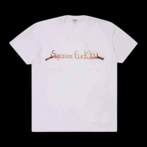 Supreme Fuck You Tee 'White'