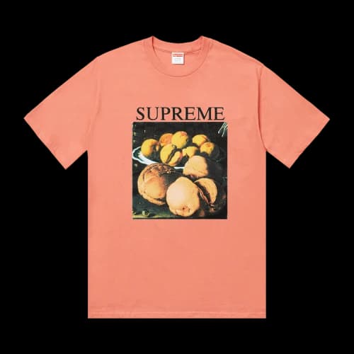 Supreme Still Life Tee 'Terra Cotta'