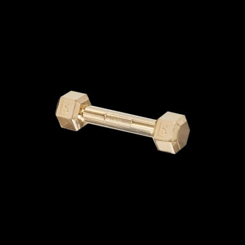 Supreme Plated Dumbbell 'Gold Plated'