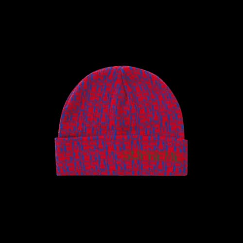 Supreme Digital Beanie 'Red'