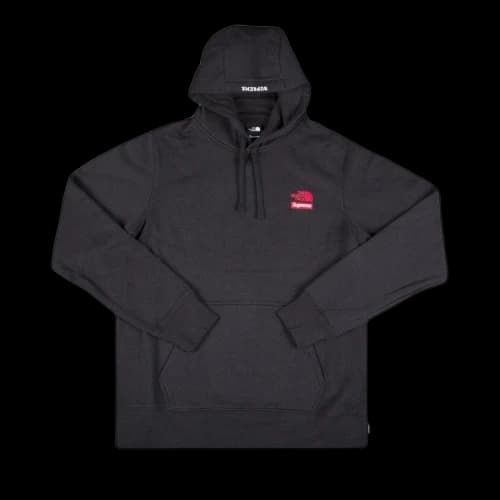 Supreme x The North Face Statue Of Liberty Hooded Sweatshirt 'Black'