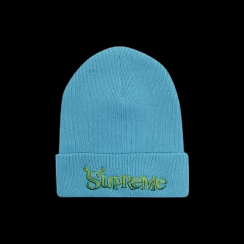 Supreme Shrek Beanie 'Turquoise'