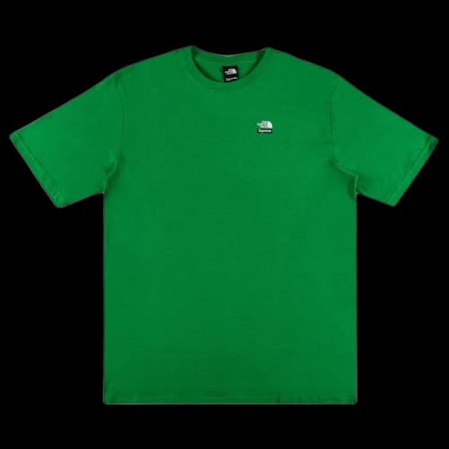 Supreme x The North Face Mountains Tee 'Green'