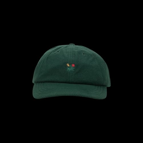 Aimé Leon Dore Fleece Crest Hat 'Green'