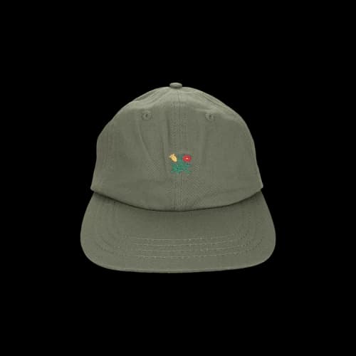 Aimé Leon Dore Brushed Crest Hat 'Green'