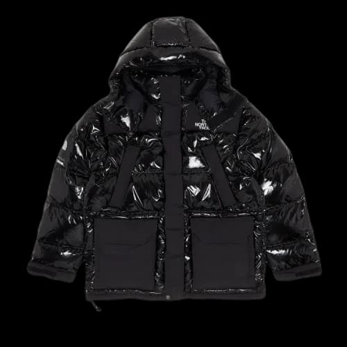 Supreme x The North Face 700-Fill Down Parka 'Black'