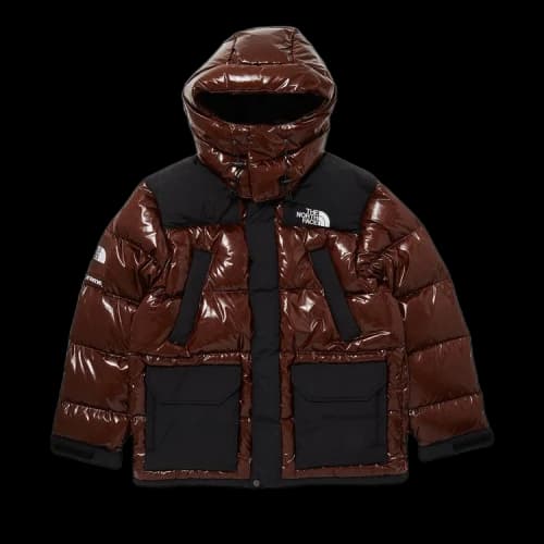 Supreme x The North Face 700-Fill Down Parka 'Brown'
