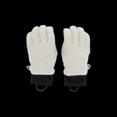 Supreme x The North Face Suede Glove 'Stone'