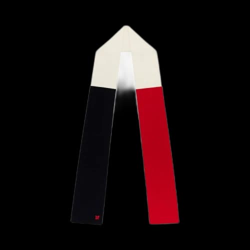 Aimé Leon Dore Colorblock Scarf 'Red'