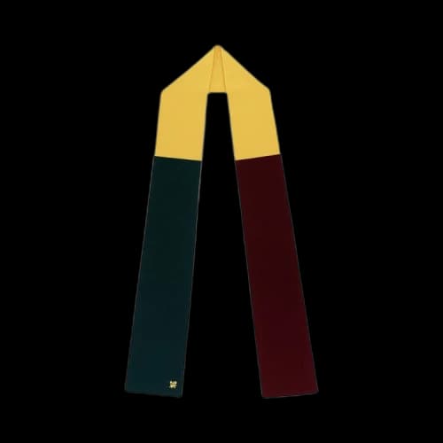 Aimé Leon Dore Colorblock Scarf 'Yellow'