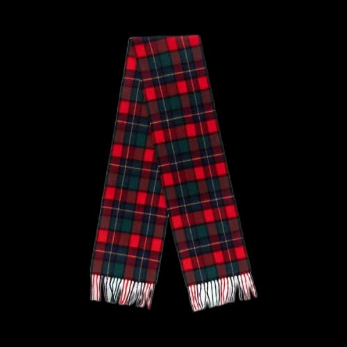Aimé Leon Dore Wool Plaid Scarf 'Red'