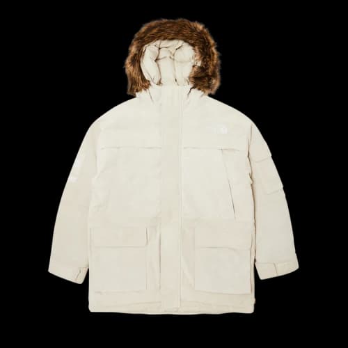 Supreme x The North Face Suede 600-Fill Down Parka 'Stone'