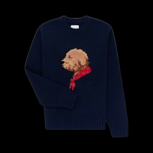 Aimé Leon Dore Collegiate Buddy Knit Sweater 'Indigo'