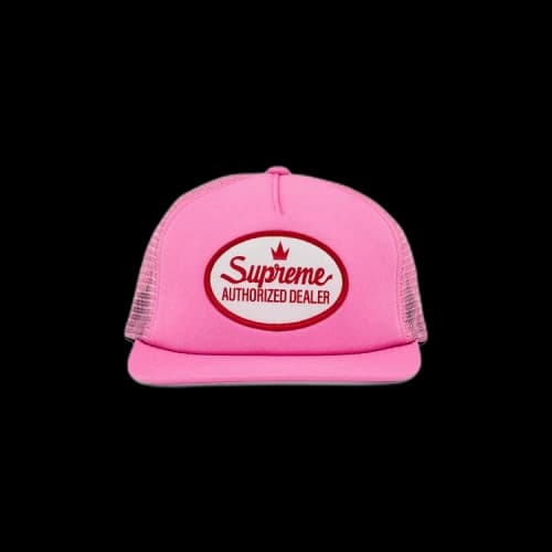 Supreme Authorized Mesh Back 5-Panel 'Pink'