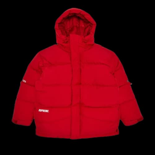 Supreme GORE-TEX 900-Fill Down Parka 'Red'