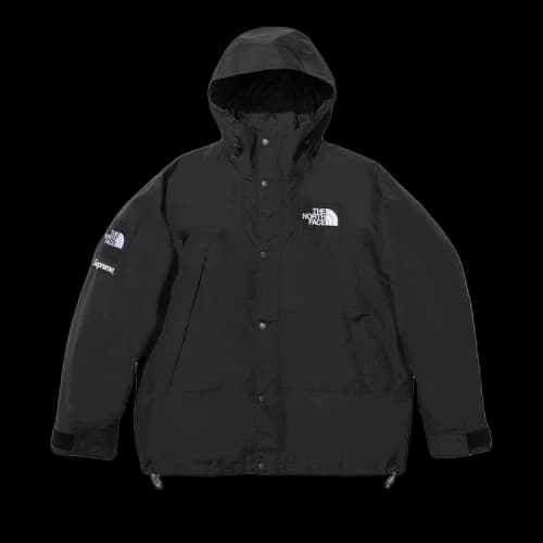 Supreme x The North Face Mountain Jacket 'Black'