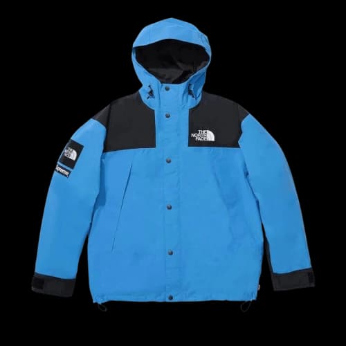 Supreme x The North Face Mountain Jacket 'Blue'