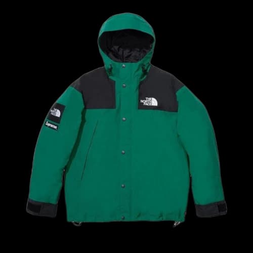 Supreme x The North Face Mountain Jacket 'Green'