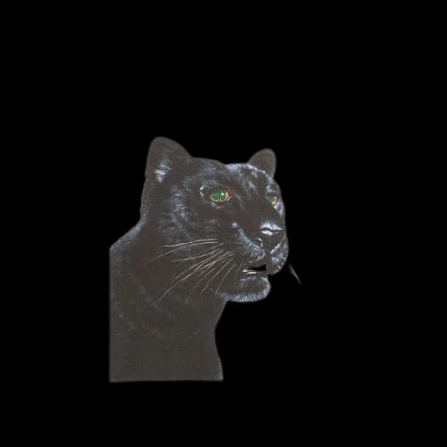 Denim Tears Green Eyed Panther Tee 'White'