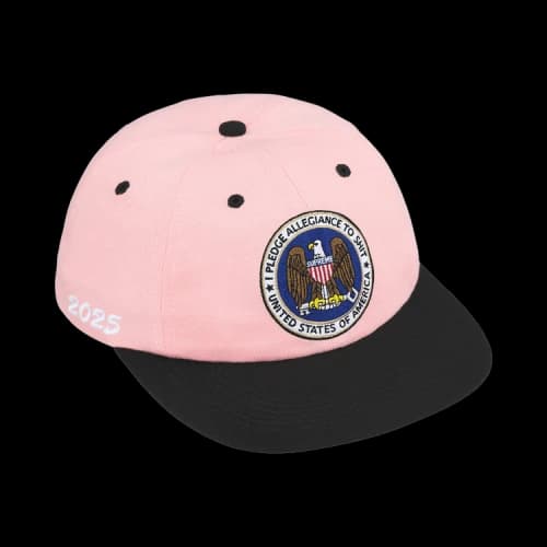 Supreme Pledge Allegiance 6-Panel 'Pink'
