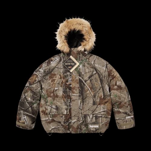 Supreme 2-In-1 GORE-TEX Parka + Reversible 700-Fill Down Liner Jacket 'Realtree AP Camo'