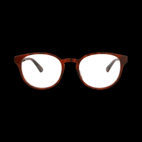 Gucci Cat Eye Frame Sunglasses 'Havana'