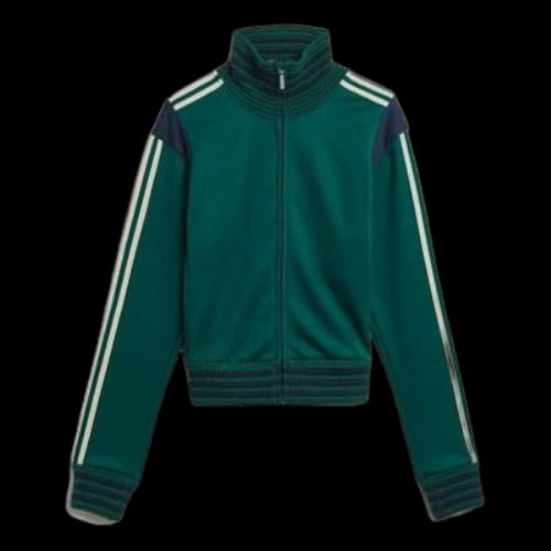 adidas x Wales Bonner Stripe logo Sports Jacket 'Green'