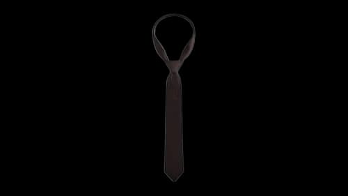 Kith Giorgio Armani x & Kin Jaquard Tie Kindling