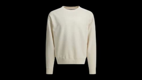 Golden Goose Crewneck Reverse Logo Sweatshirt White