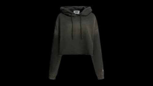 Golden Goose Star/W'S Hoodie Grey
