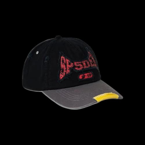 Sp5der T&F 6-Panel Hat 'Brown'