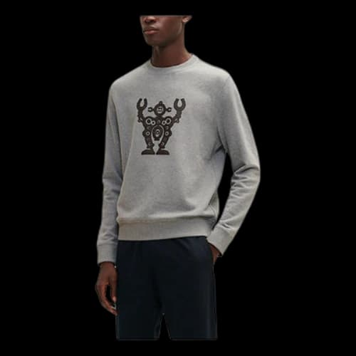 HERMES