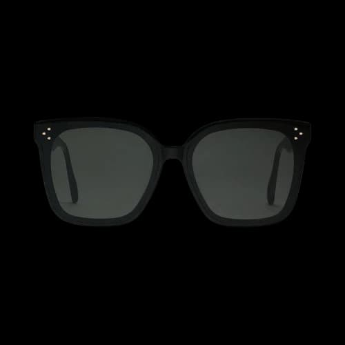 Gentle Monster Her 01 Sunglasses 'Black'