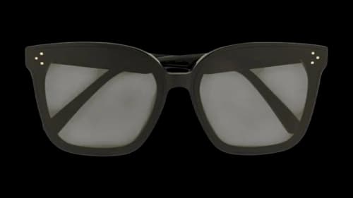 Gentle Monster HER 01 Sunglasses Black