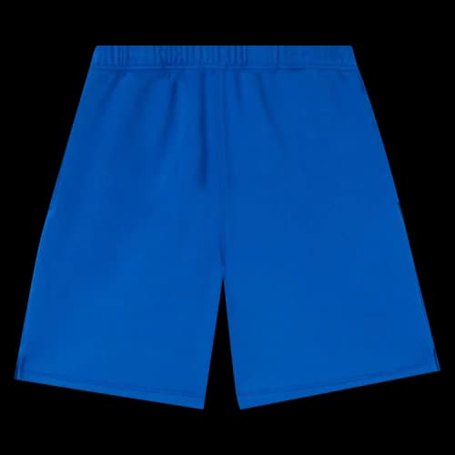 Heron Preston Sweatshorts 'Blue'