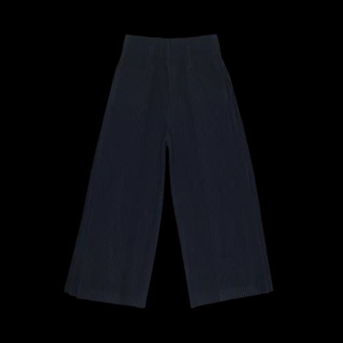 Homme Plissé Issey Miyake Pleats Pants 'Black'