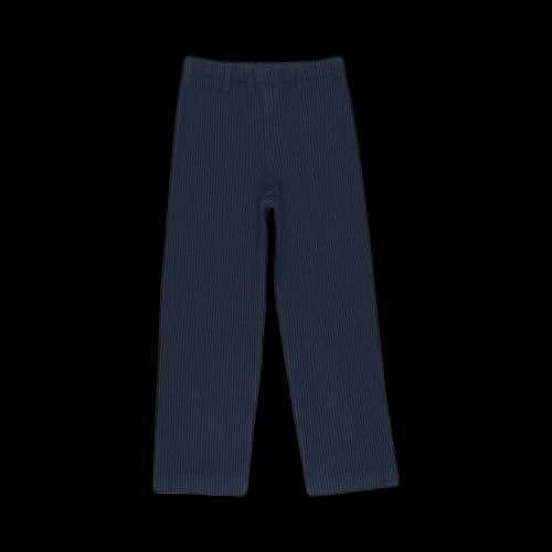 Homme Plissé Issey Miyake Tailored Pleats 2 Pants 'Midnight Blue'