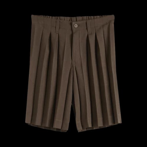 Homme Plissé Issey Miyake Edge Ensemble Shorts 'Dark Brown'