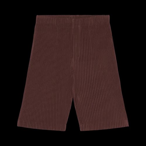 Homme Plissé Issey Miyake Color Pleats Pants 'Edge Brown'