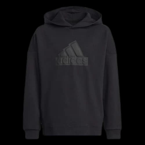 (GS) adidas Future Icons Logo Hoodie'Black'