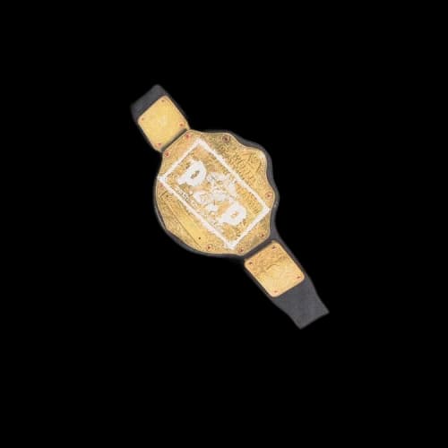 Hellstar x WWE P2P Heavyweight Championship T-Shirt 'White'