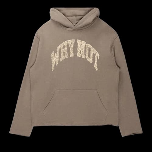 Honor The Gift Why Not Hoodie 'Taupe'